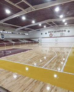 536646948_1249227467001387_4590087843530064864_n