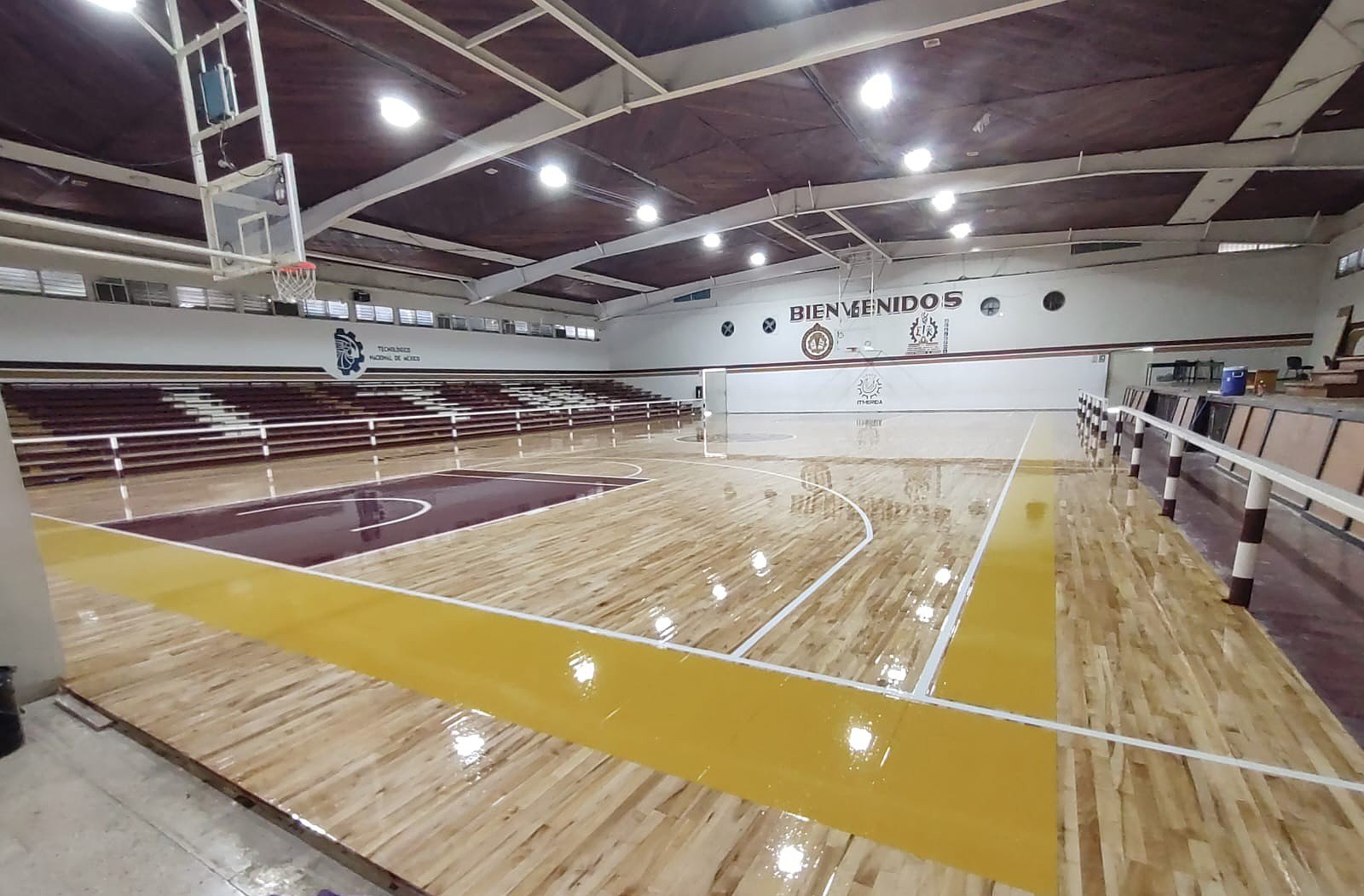 Ambiente indoor de basketball profesional con presencia premium